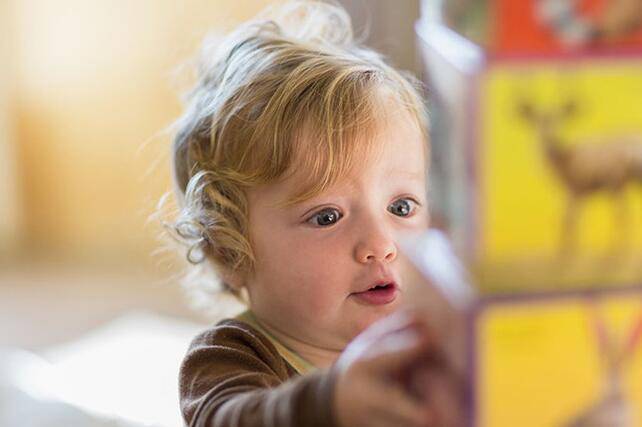 帮BB培养想象力 这些方法你尝试过吗