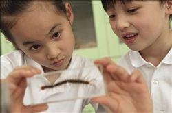 怎样培养孩子的学习兴趣 让孩子主动学习