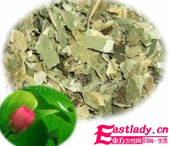 荷叶减肥茶 6种好 茶 品