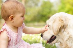 你知道如何才是正确鼓励孩子的方式吗