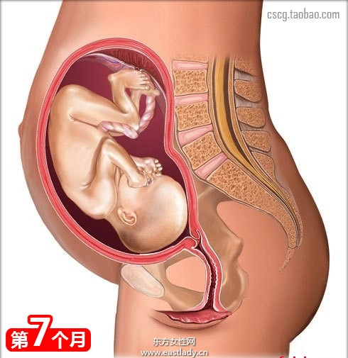 网上最全的怀孕育儿常识