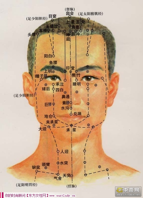 颜面针灸减肥的穴位有哪些