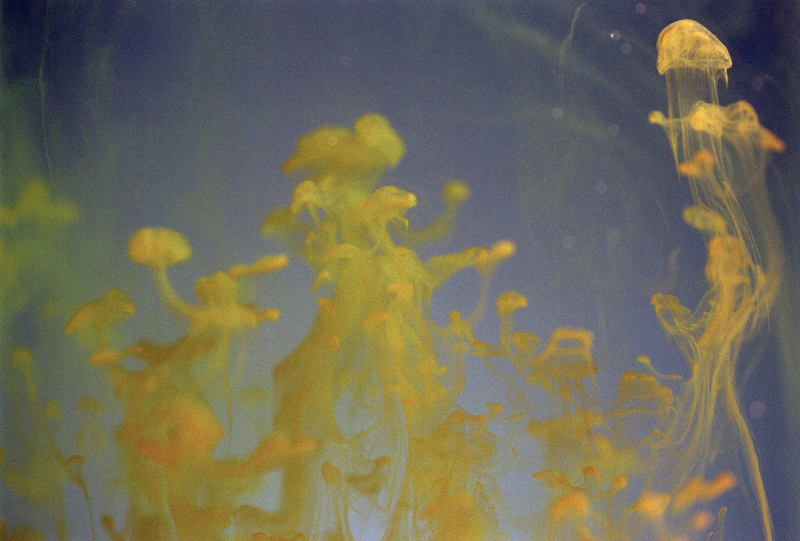 药物流产后多久来月经 揭药物流产后注意事项