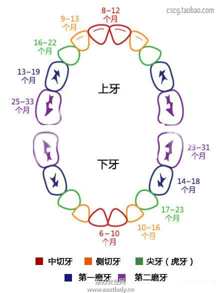网上最全的怀孕育儿常识