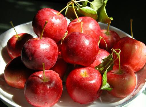 海棠果能在经期食用吗 多种功效吃出健康