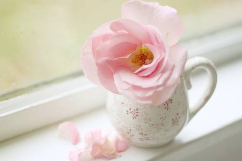 白带多且发黄是怎么回事 这是疾病症状吗