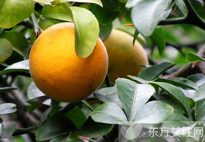 治疗乳腺增生的偏方 引起乳腺增生的原因有哪些