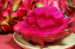 经期能吃火龙果吗 水果的四性须知