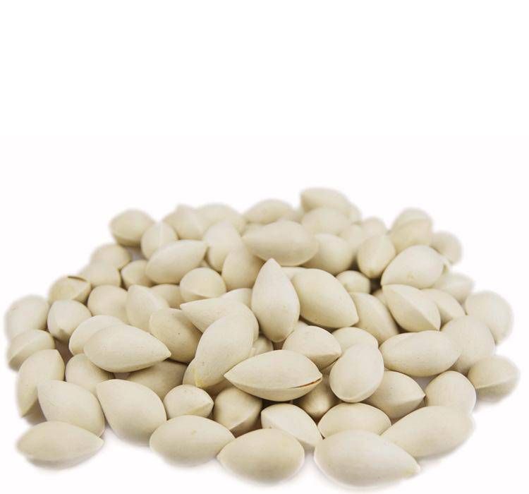 白果的好处多 也可治女性月经不调