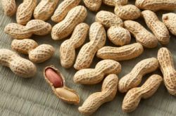 女性多吃花生能预防乳腺癌