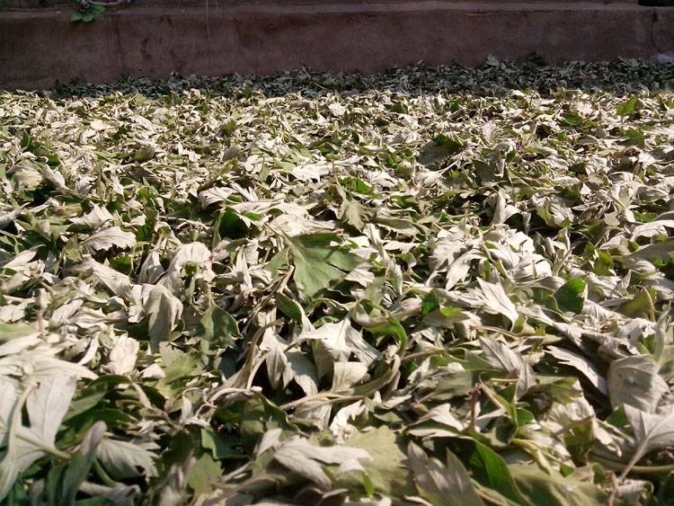 更年期痛经怎么办 9个食疗方帮你调理