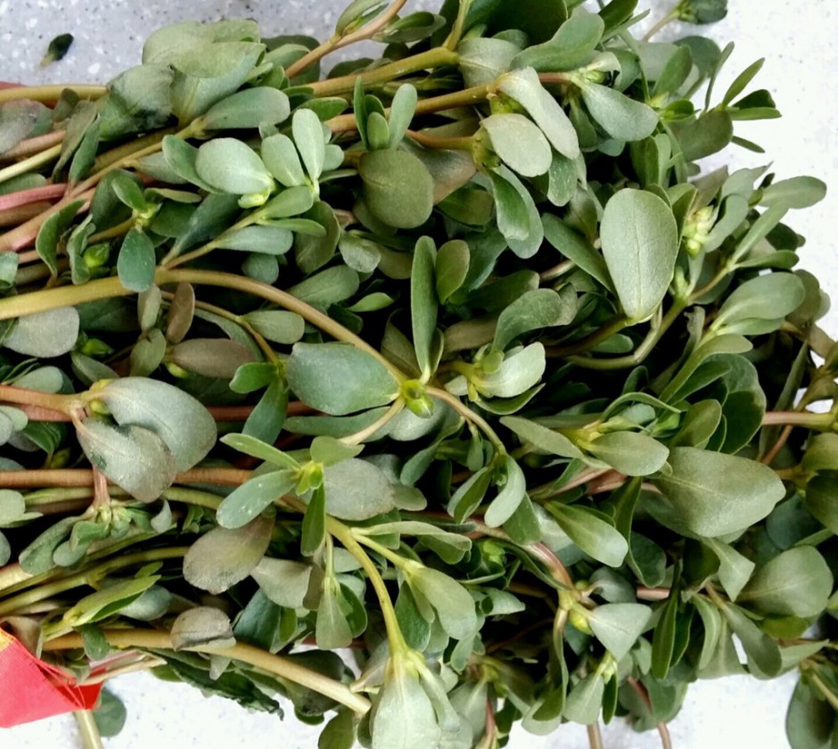 白带异常怎么办 6种食疗方帮你解决困扰