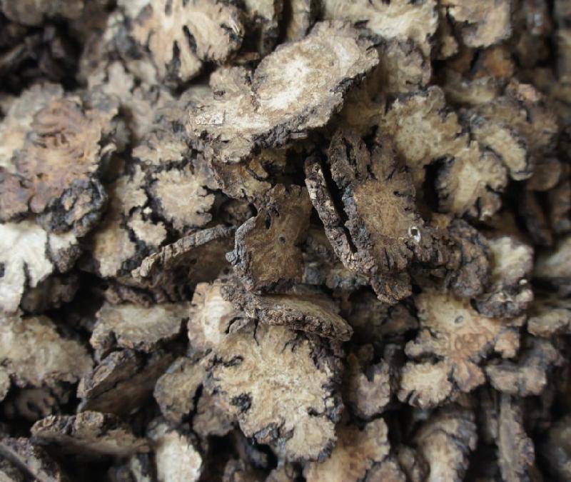 女性月经不调可吃川芎吗 川芎的功效有哪些