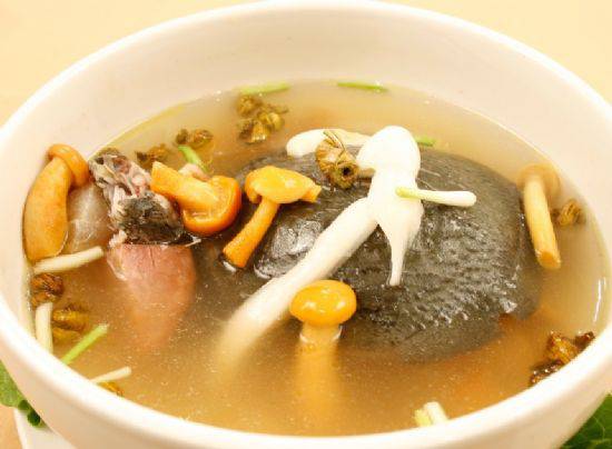 解析吃甲鱼能预防乳腺癌吗