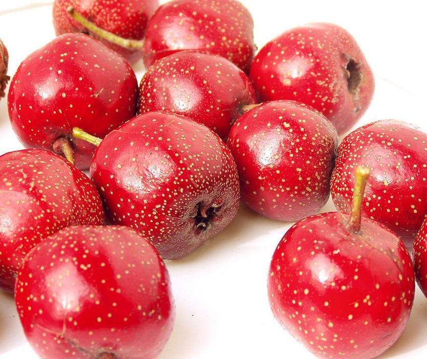 多吃这几种东西能帮你调理卵巢囊肿