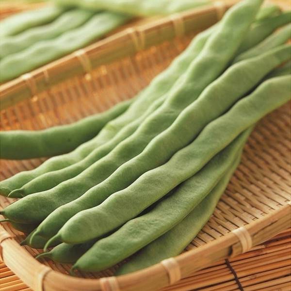 解决白带的问题有哪些 膳食调理是关键