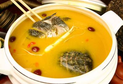 解析吃甲鱼能预防乳腺癌吗