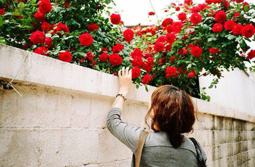 卵巢囊肿的危害有哪些 8大措施教你预防