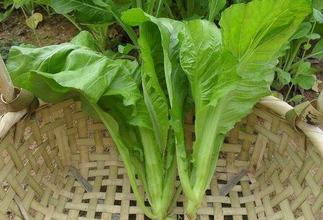 如何避免乳腺增生 从生活方式做起