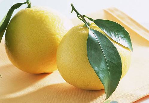 遭受 大姨妈 折磨 喝汤就能摆脱