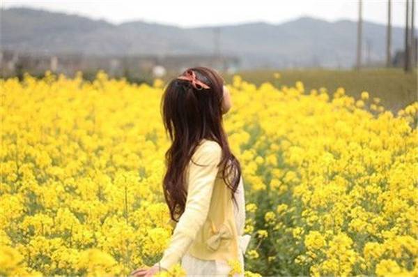 三种食物使更年期女性 顺气 不易燥