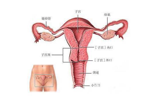 造成子宫疾病的元凶 犯了两条就该小心了