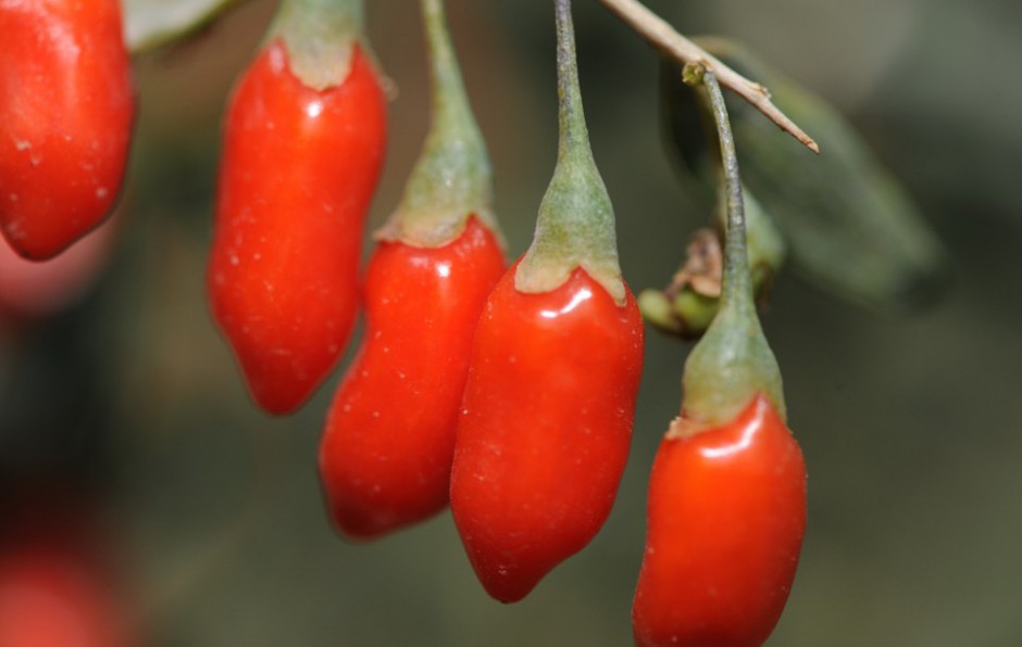 女性什么年龄闭经 6种闭经类型调理偏方