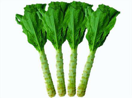 四大饮食疗法助你预防乳腺炎