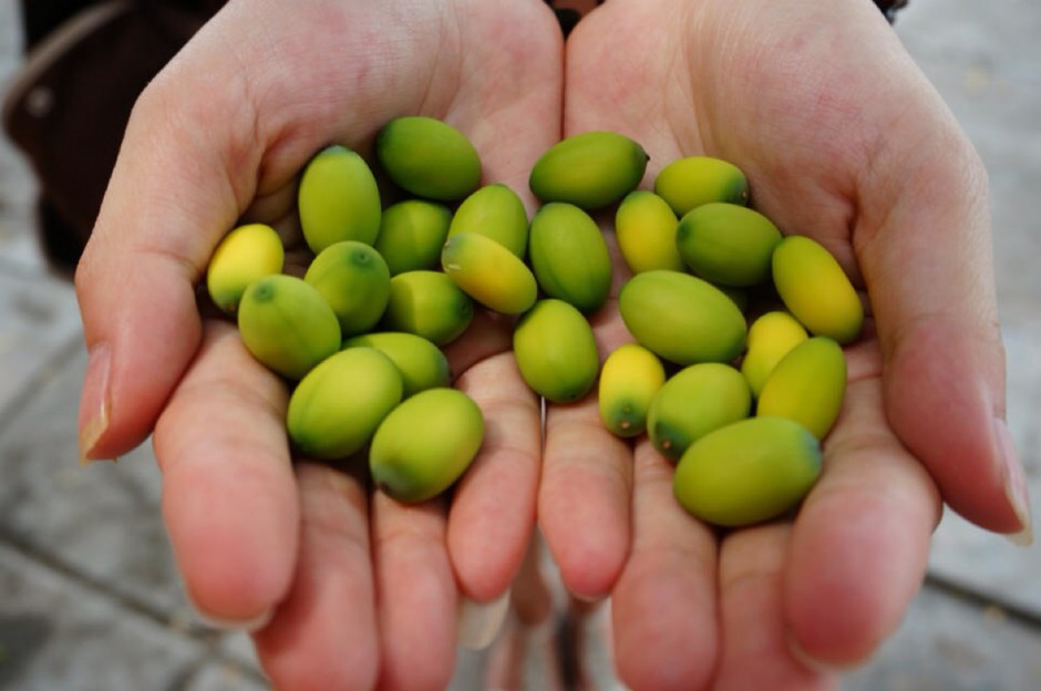 白带异常需重视 六大偏方有效治疗白带异常