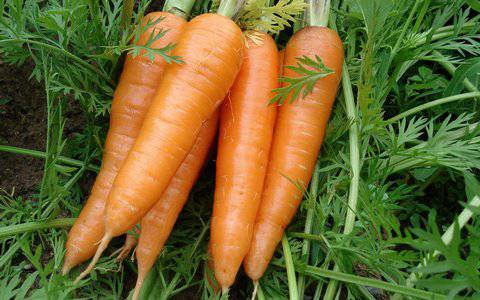 功能性子宫出血吃什么调理 4大饮食有效调理