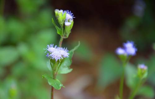 女人绝经后 当心这6种疾病找上你