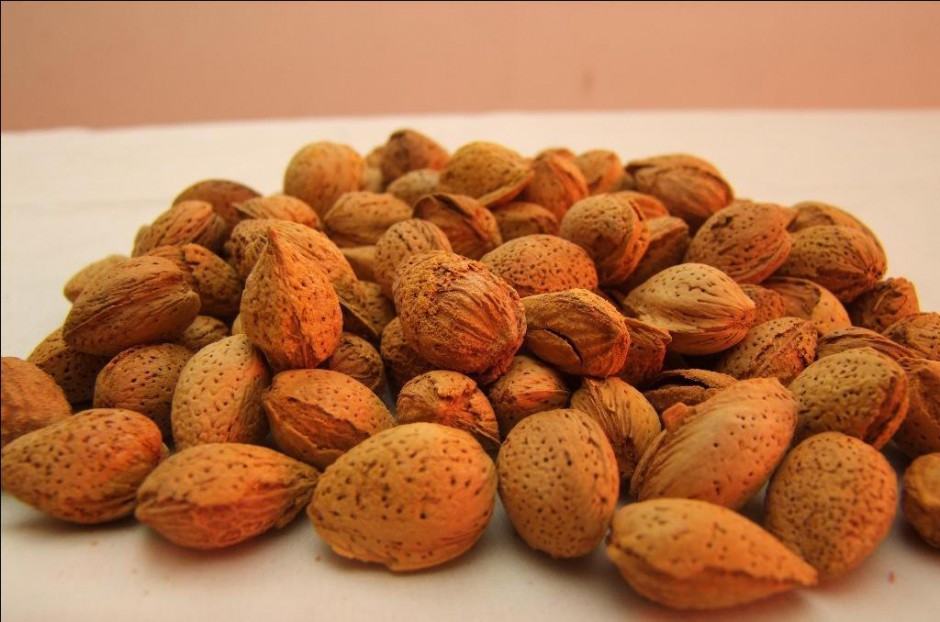 常吃这9种食物能帮你预防乳腺增生