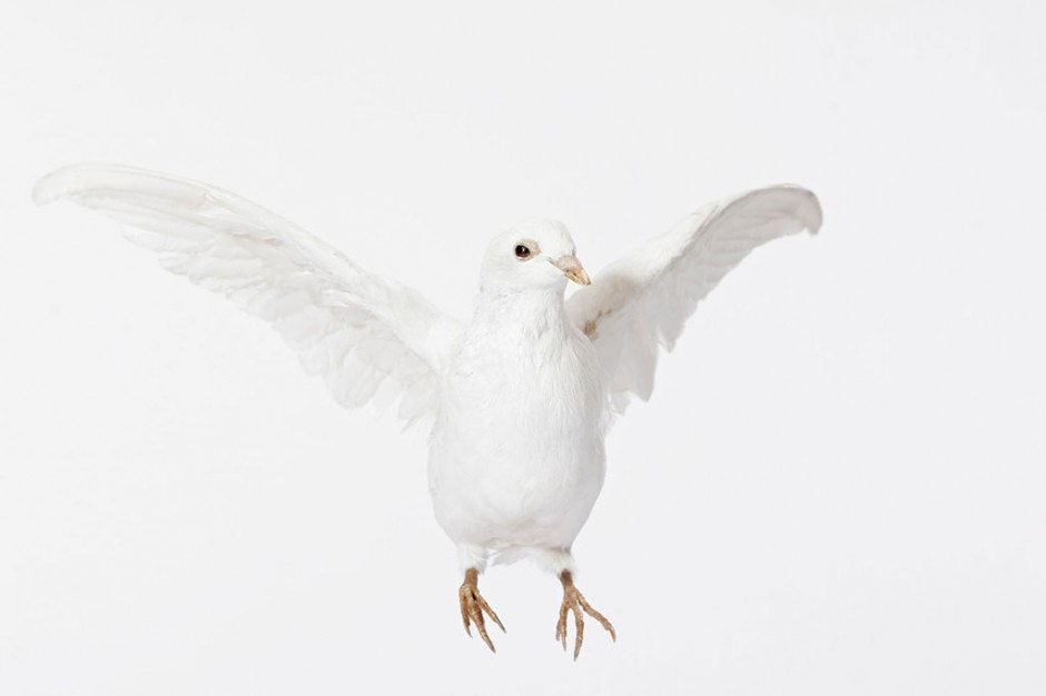 六个有效小偏方助你治疗闭经现象