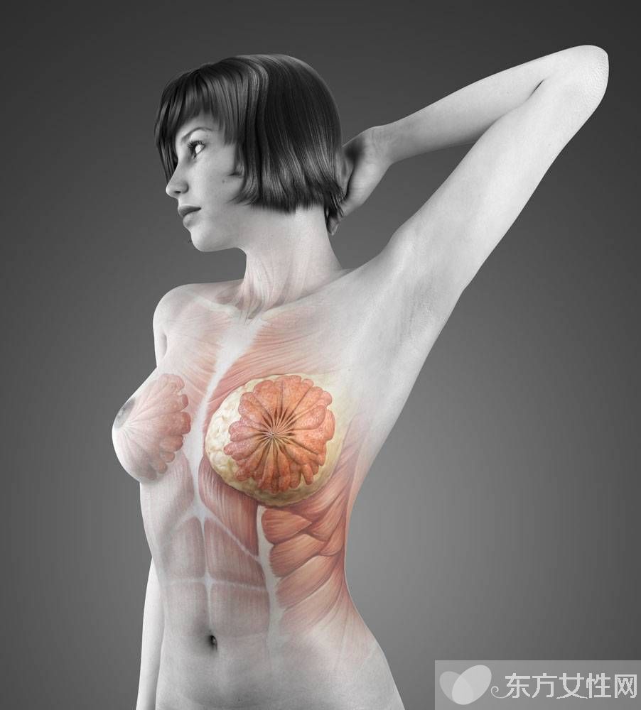 乳腺小叶增生的症状表现 做好这些远离乳房疾病