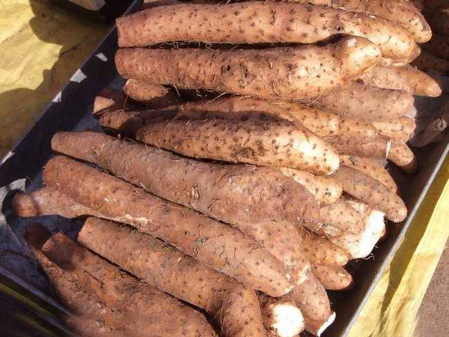 山药的功效有哪些 调经又养血