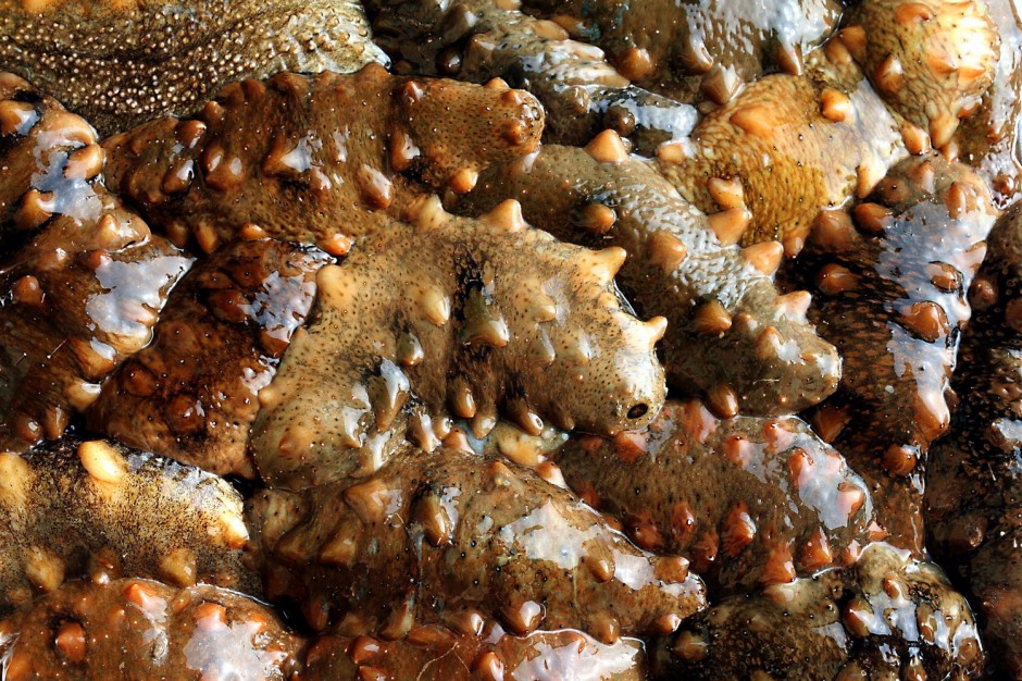 四大食疗方帮你调理卵巢早衰