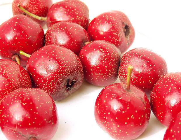 5大茶饮帮你缓解痛经 不同体质对症下药