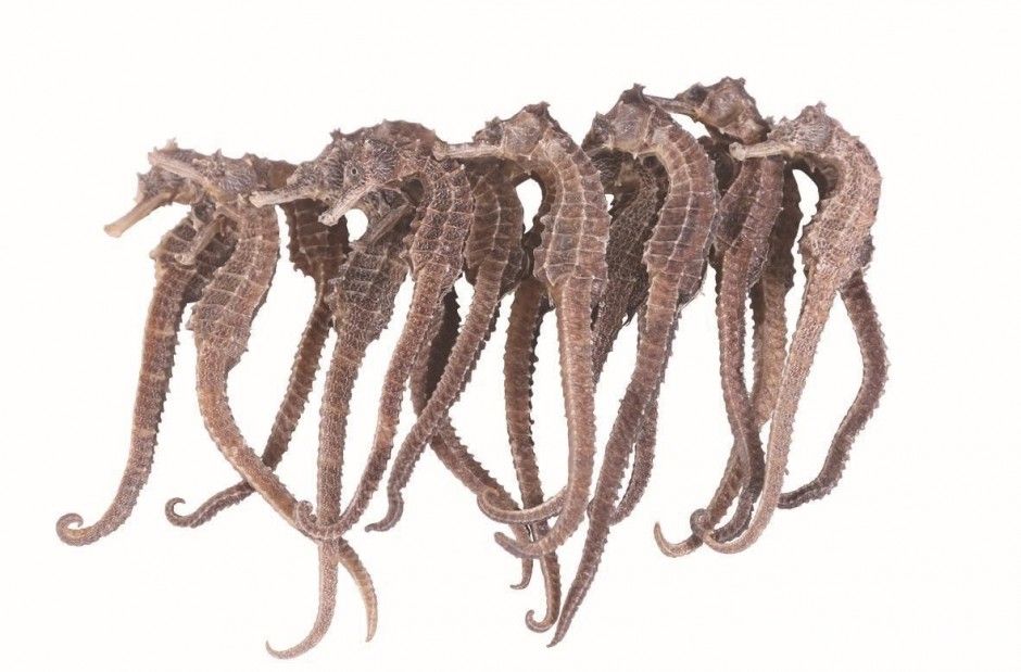 卵巢囊肿的早期症状 出现这些情况一定要引起重视