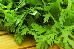 痛经需分型治疗 对症下药才是关键