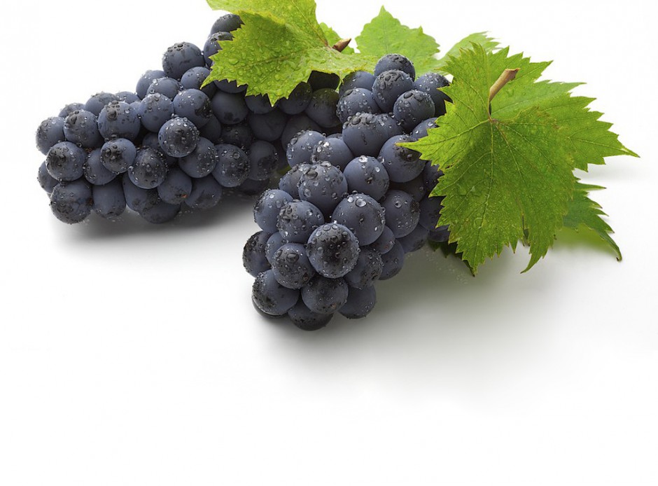 六大水果对卵巢保养好处多 好吃又养巢