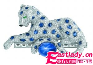 拒绝皮草保护动物          超豪华动物配饰温暖冬日