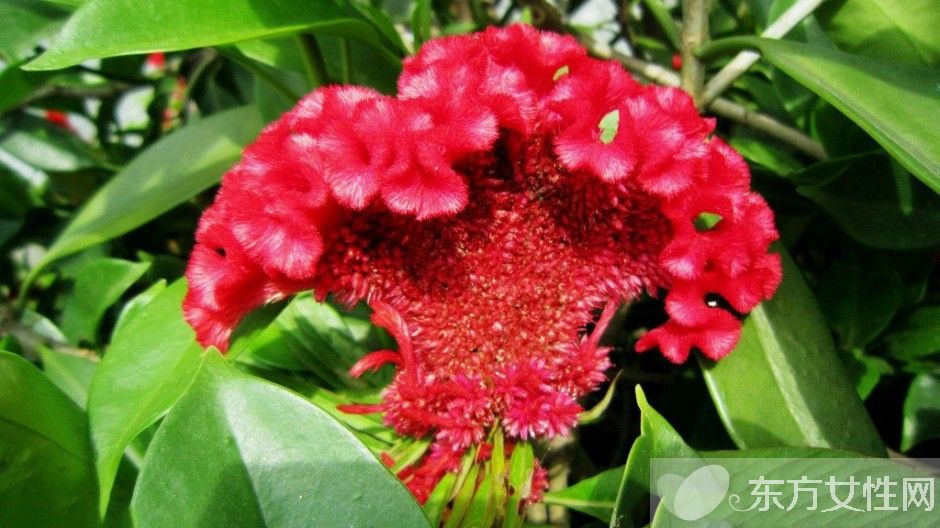 阴道炎可以根治吗 治疗阴道炎的食疗方法推荐