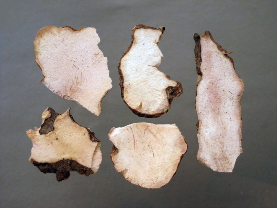 尿道炎怎么办 治疗尿道炎的中药材有哪些