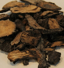 肉苁蓉的功效与作用 肉苁蓉的药理作用