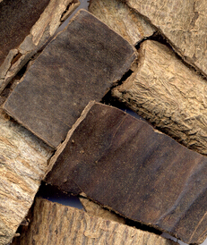 杜仲茶的功效 杜仲茶有哪些减肥作用