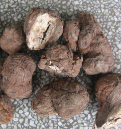 滋补药材 葛根白芍解除三高困扰