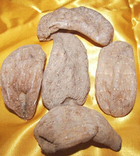 天麻的功效与作用 天麻的药理作用