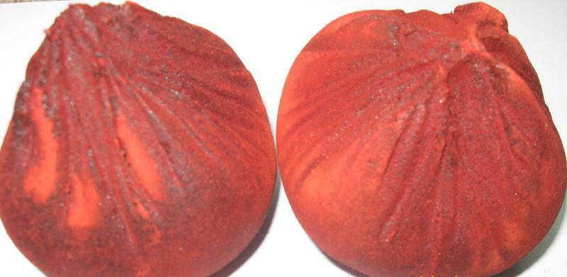 血竭的功效与作用及食用方法大全