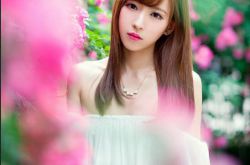 菟丝子的功效与作用 菟丝子的药用部位