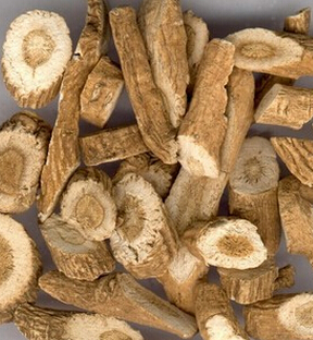 板蓝根的功效 凉血消肿利咽功效